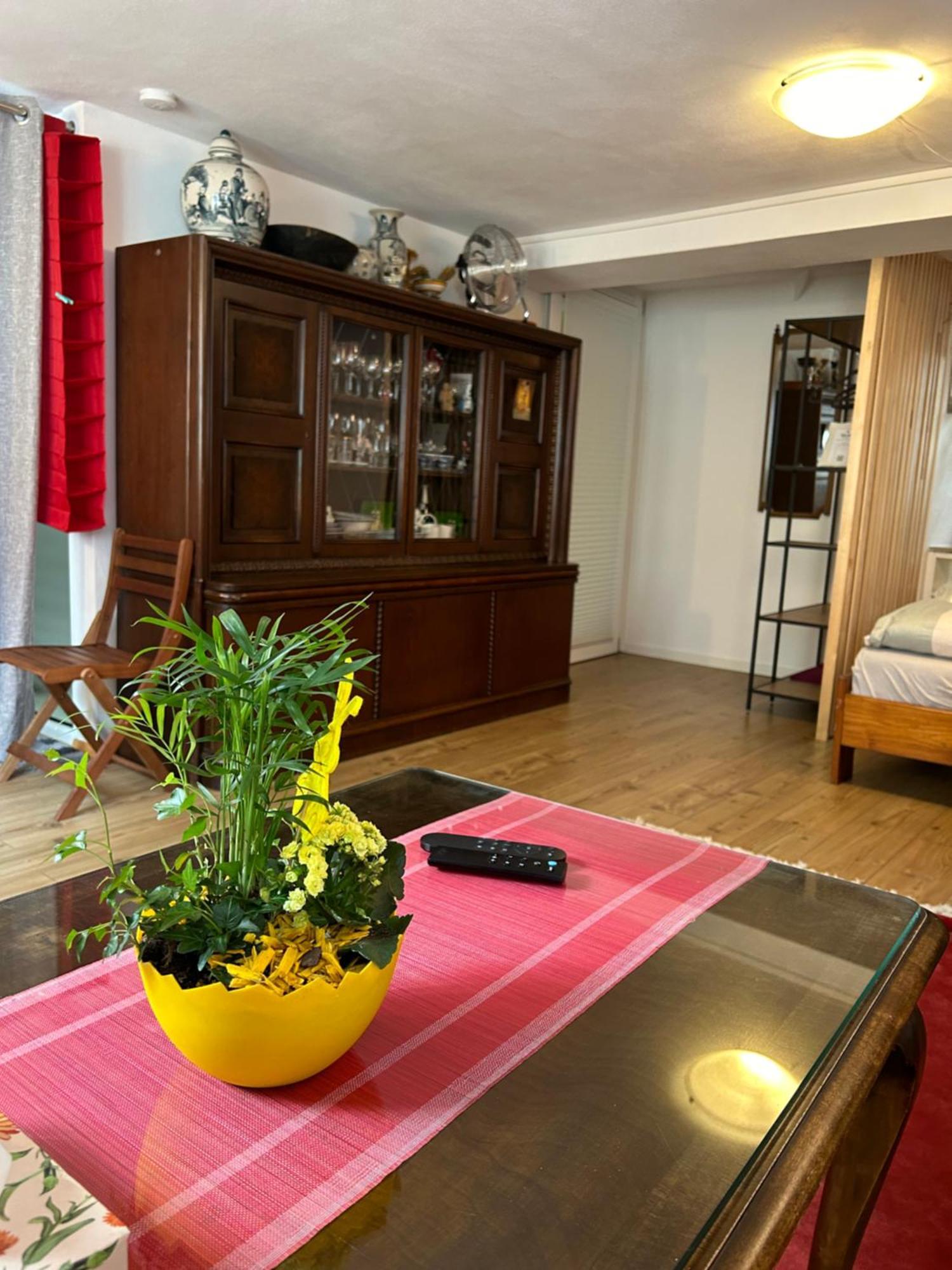 Homestay ヴァルツフート＝ティンゲン エクステリア 写真